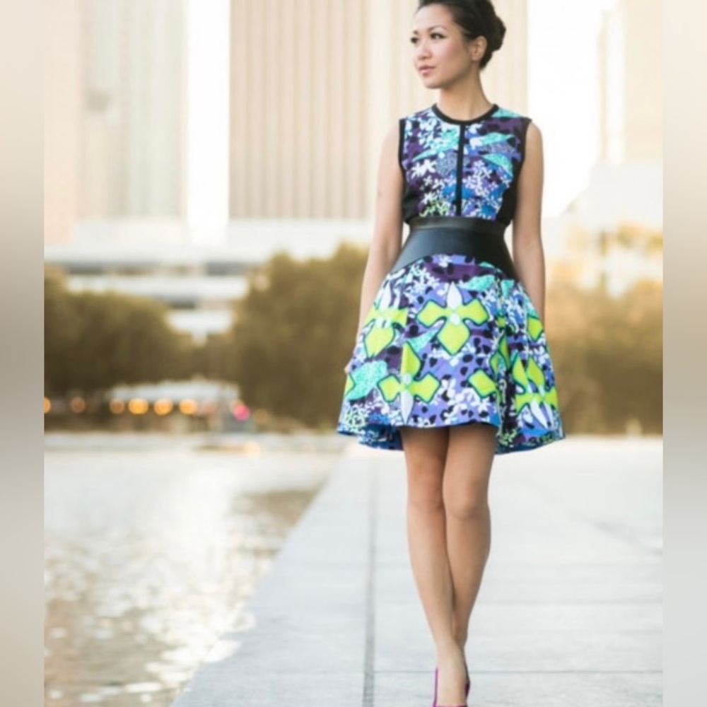 Peter Pilotto Target Skater Abstract Dress size 6